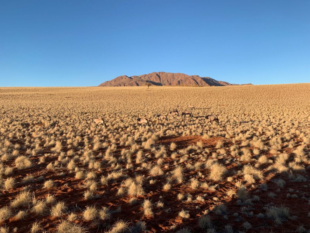 Namibia Claims Top Africa Tourism Destination Spot