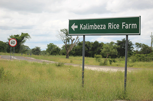 Govt Allocates Additional N$8 Million to Revitalise Kalimbeza Rice Project