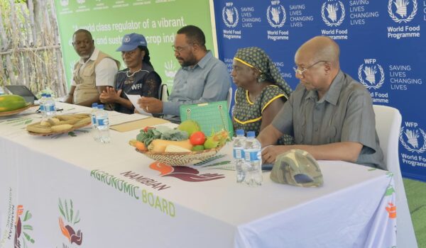 Namibia Achieves 55% Vegetable Self-Sufficiency, Reports WFP