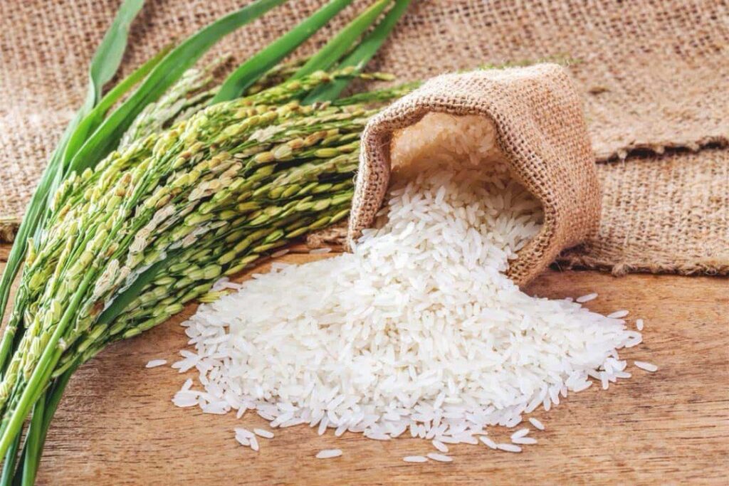 Kalimbeza Rice Rice Production Requires Government Intervention – Eagle FM