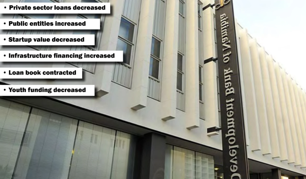 DBN Presents a Gloomy and Mixed 2024/25 Performance