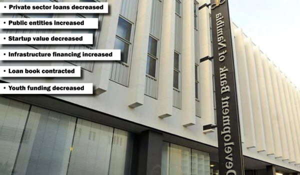 DBN Presents a Gloomy and Mixed 2024/25 Performance