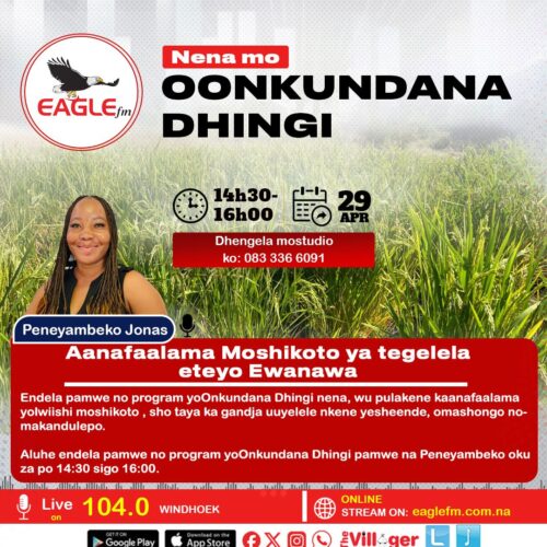 OONKUNDANA DHINGI PAMWE NA PENEYAMBEKO (29 APRIL 2026)