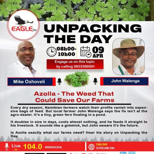 UNPACKING THE DAY WITH MIKE (9 APRIL 2026)