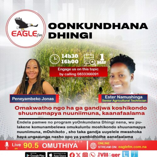 OONKUNDANA DHINGI PAMWE NA PENEYAMBEKO (1 MAY 2026)